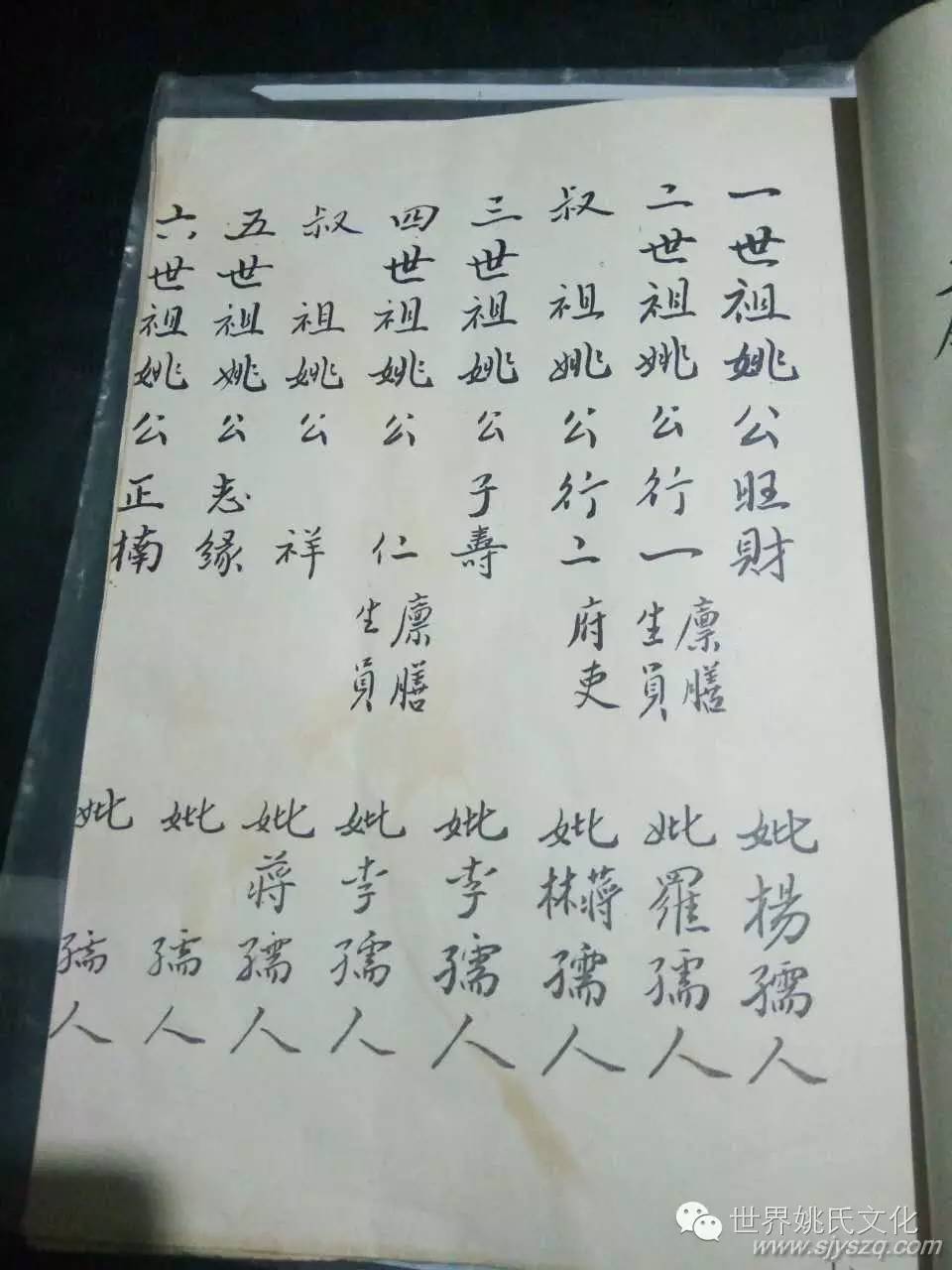 江安姚氏家谱 (4).jpg