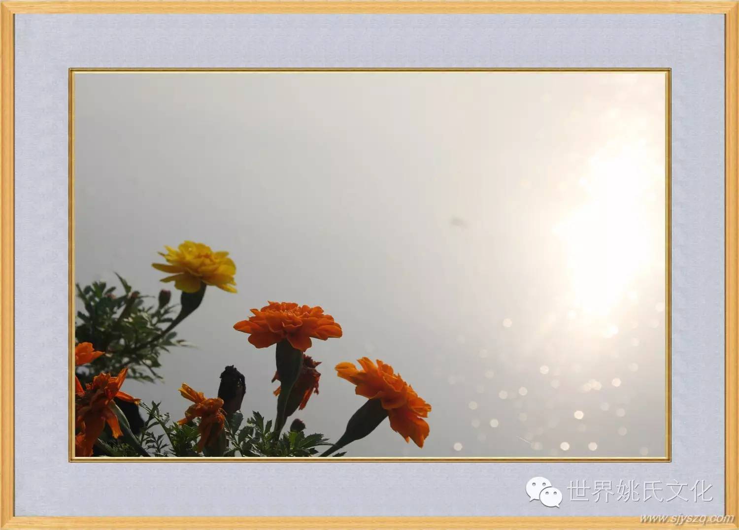 姚红刚来花果新村啦! (359)_副本.JPG