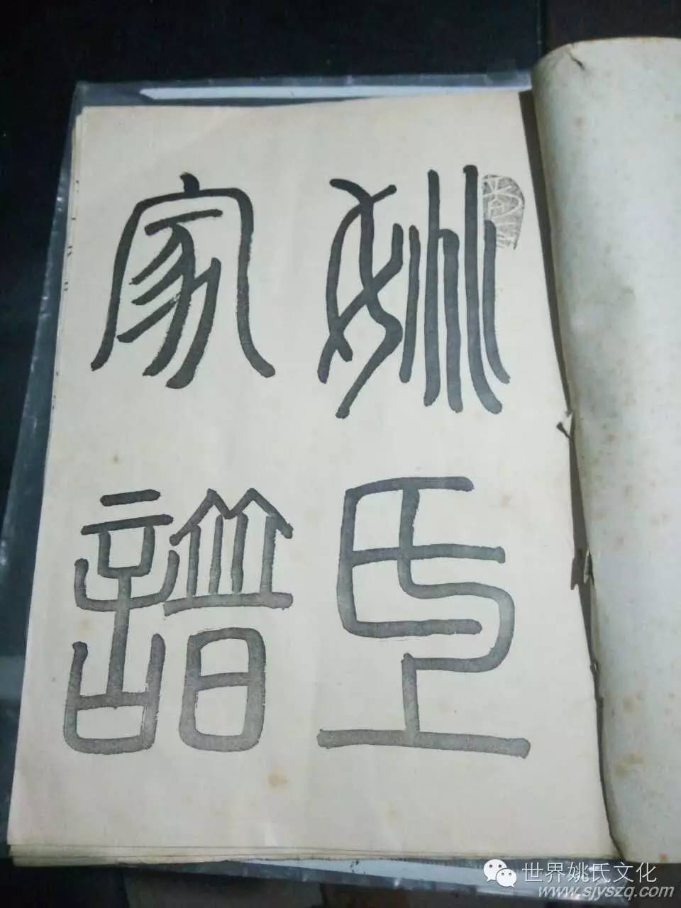 江安姚氏家谱 (1).jpg