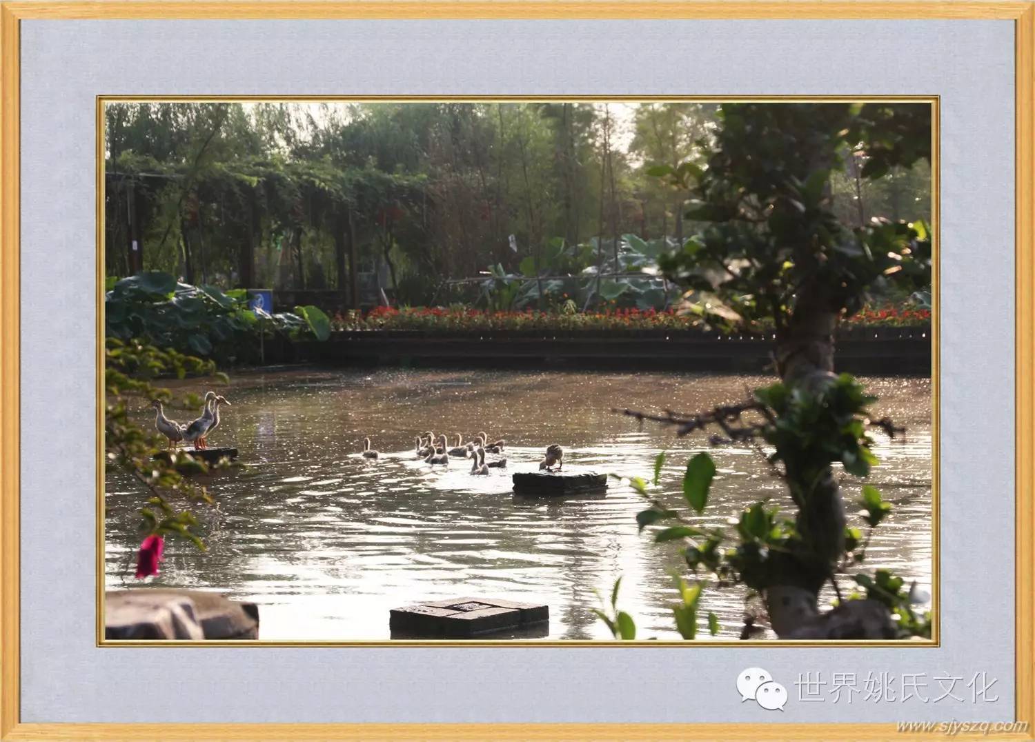 姚红刚来花果新村啦! (360)_副本.JPG